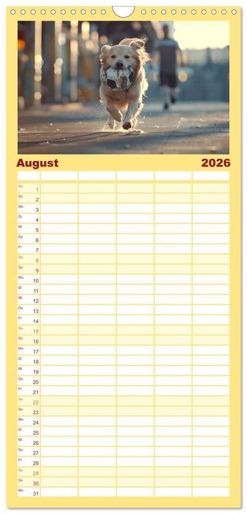 Produktbild: Familienplaner 2026 - Tierische Balljunkies mit 5 Spalten (Wandkalender, 21 x 45 cm) CALVENDO