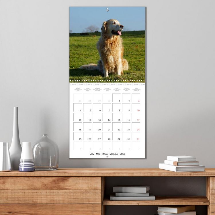 Produktbild: Happy Golden Retriever (Wall Calendar 2026 12 &times; 12 Inch) CALVENDO 12 Month Wall Calendar