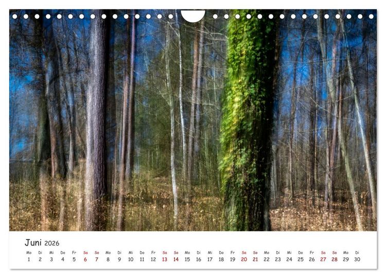 Produktbild: Abstrakte Naturerlebnisse - ICM (Intentional Camera Movement) Fotografie (Wandkalender 2026 DIN A4 quer), CALVENDO Monatskalender