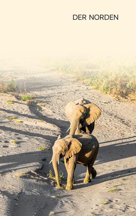 Produktbild: Reisef&uuml;hrer Namibia