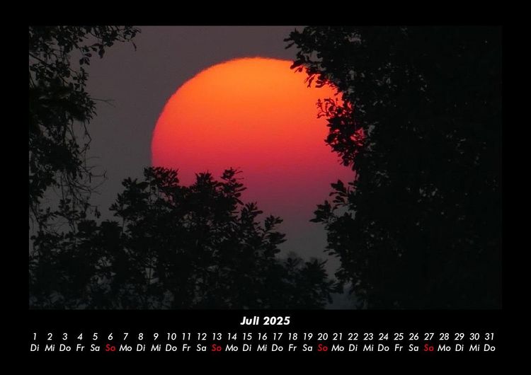 Produktbild: B&auml;ume 2025 Fotokalender DIN A3
