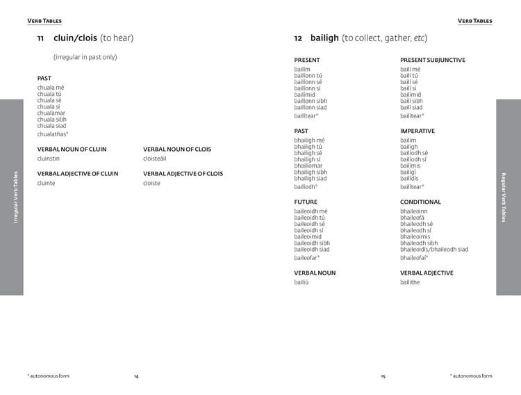 Produktbild: Easy Learning Irish Grammar
