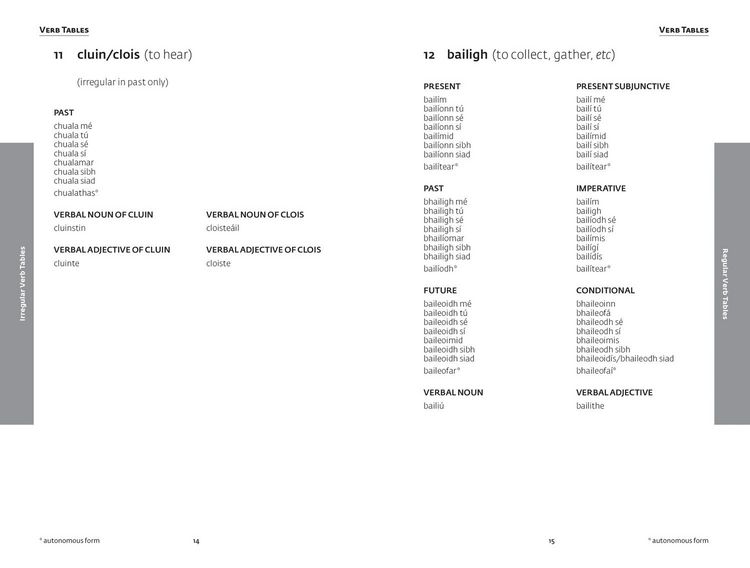 Produktbild: Easy Learning Irish Grammar