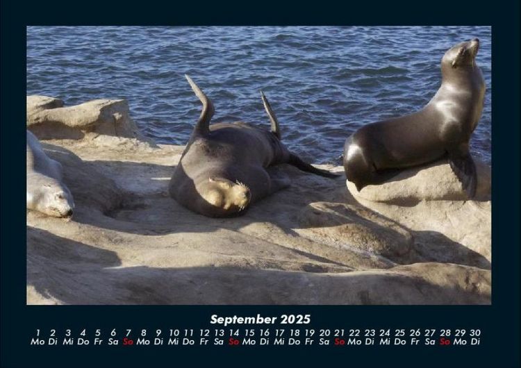 Produktbild: Die Seen der Erde 2025 Fotokalender DIN A4