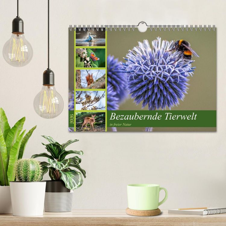 Produktbild: Bezaubernde Tierwelt in freier Natur (Wandkalender 2026 DIN A4 quer), CALVENDO Monatskalender