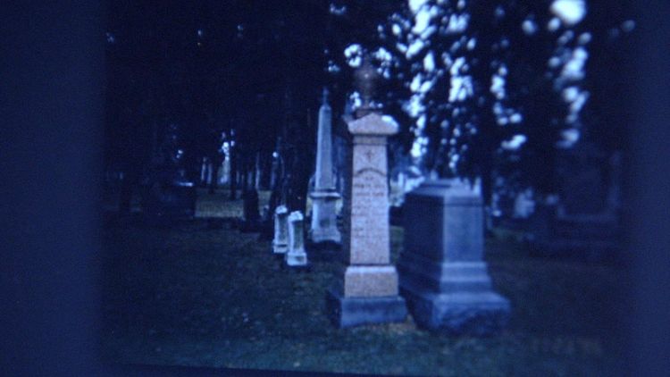 Produktbild: #SCREAMERS - H&ouml;rst du den Schrei, ist es zu sp&auml;t