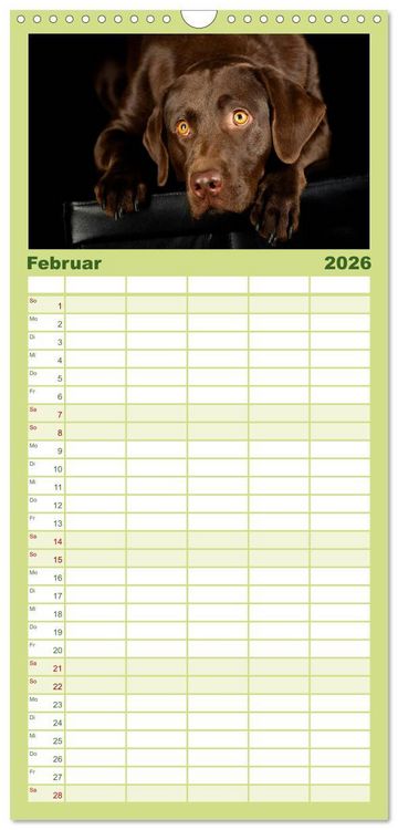 Produktbild: Familienplaner 2026 - Labrador Retriever mit 5 Spalten (Wandkalender, 21 x 45 cm) CALVENDO