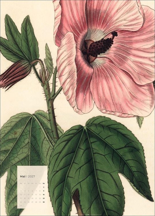 Produktbild: Botanicals Kalender 2027