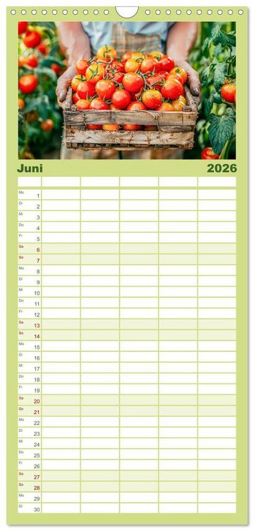 Produktbild: Familienplaner 2026 - Mein Gem&uuml;segarten - Ein Jahr knackig frisches Gem&uuml;se mit 5 Spalten (Wandkalender, 21 x 45 cm) CALVENDO