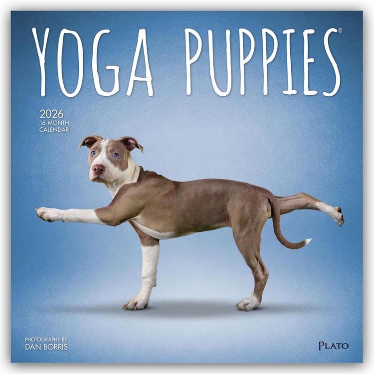 Produktbild: Yoga Puppies – Welpen Yoga 2026 – 16-Monatskalender