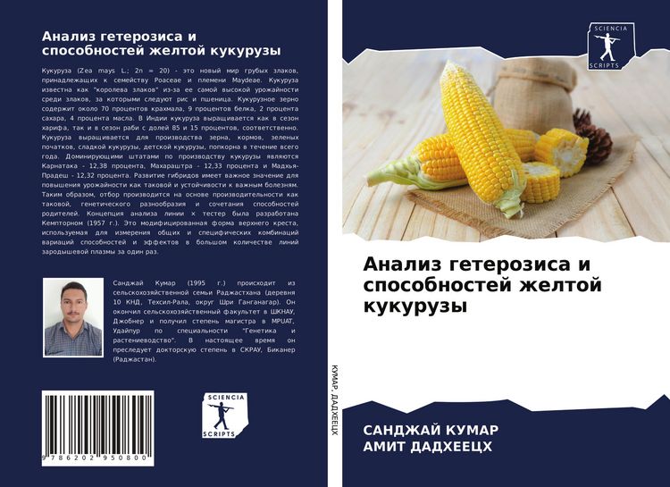 Produktbild: Analiz geterozisa i sposobnostej zheltoj kukuruzy