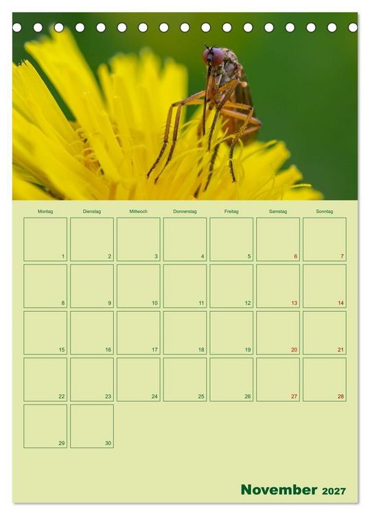 Produktbild: Die Welt der Insekten (Tischkalender 2027 DIN A5 hoch), CALVENDO Monatskalender