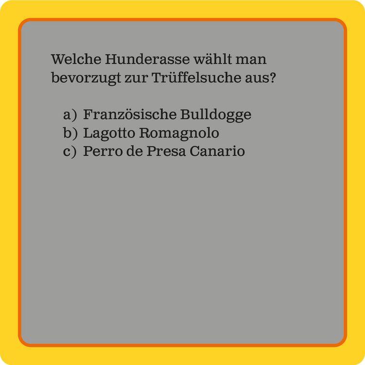 Produktbild: Das Hunde-Quiz (Neuauflage)