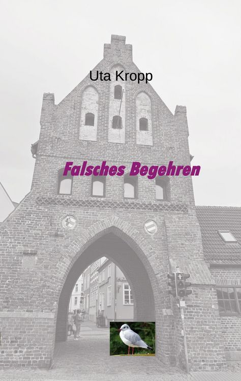 Produktbild: Falsches Begehren
