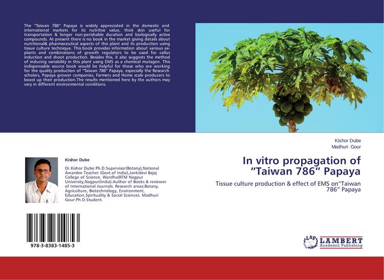 Produktbild: In vitro propagation of "Taiwan 786" Papaya