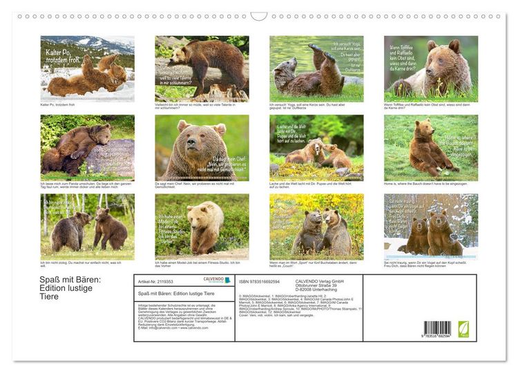 Produktbild: Spa&szlig; mit B&auml;ren: Edition lustige Tiere (Wandkalender 2026 DIN A2 quer), CALVENDO Monatskalender