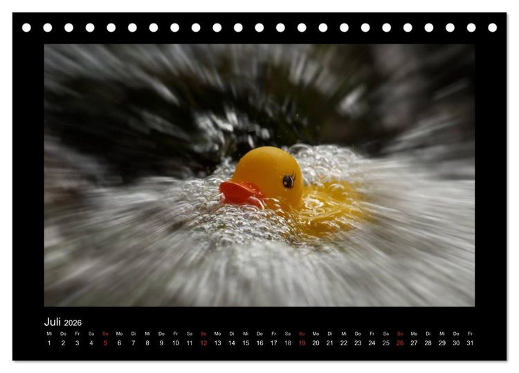 Produktbild: Enten-Rennen (Tischkalender 2026 DIN A5 quer), CALVENDO Monatskalender