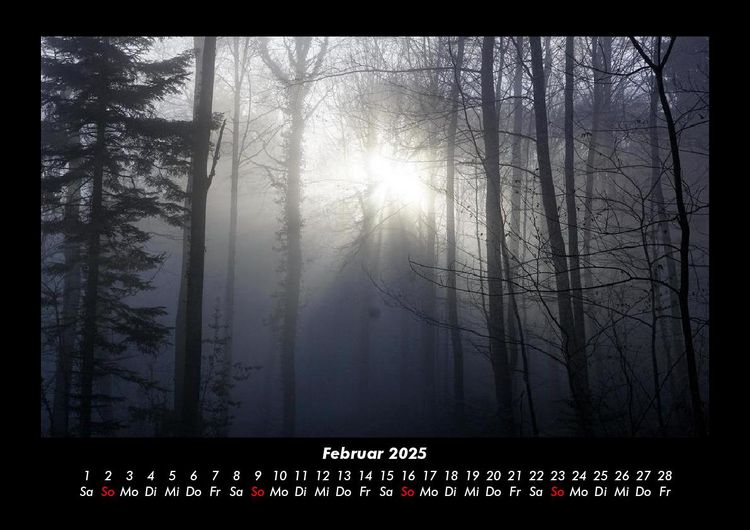 Produktbild: Waldzauber 2025 Fotokalender DIN A3