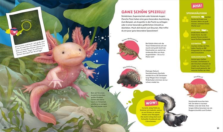 Produktbild: WAS IST WAS Kids Supertiere. Rekordhalter an Land, in der Luft und im Wasser