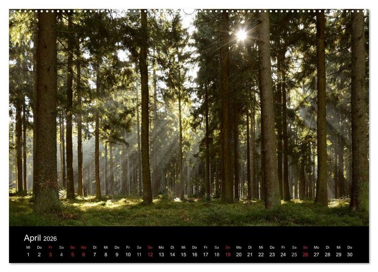 Produktbild: Zauberhafter Bayerischer Wald (Wandkalender 2026 DIN A2 quer), CALVENDO Monatskalender