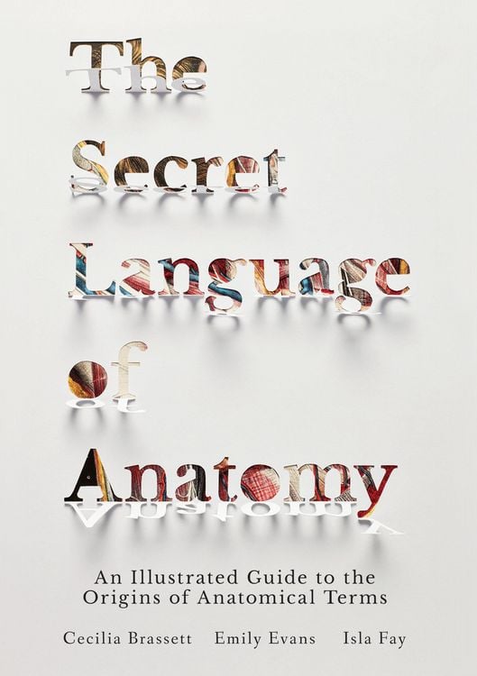 Produktbild: The Secret Language of Anatomy
