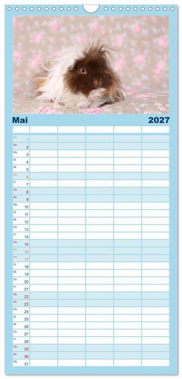 Produktbild: Familienplaner 2027 - Niedliche Meerschweinchen mit 5 Spalten (Wandkalender, 21 x 45 cm) CALVENDO