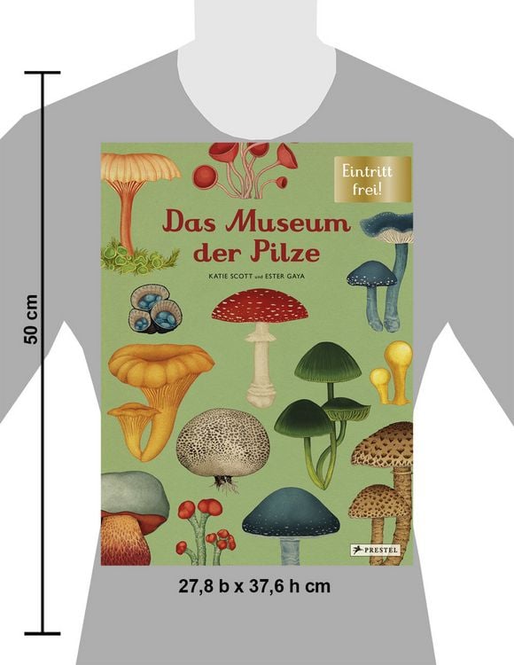 Produktbild: Das Museum der Pilze
