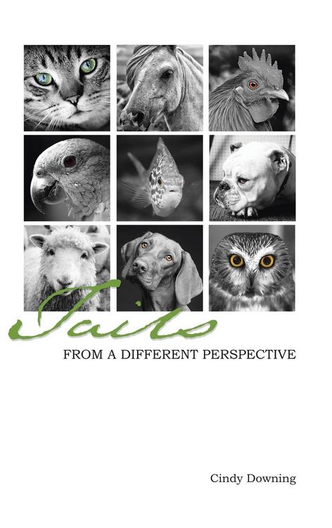 Produktbild: Tails from a Different Perspective