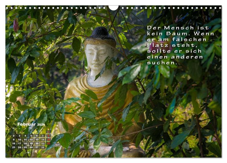 Produktbild: BUDDHAS WEISHEITEN - Balsam f&uuml;r die Seele (Wandkalender 2026 DIN A3 quer), CALVENDO Monatskalender
