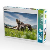 Produktbild: CALVENDO Puzzle Liegendes Rind | 1000 Teile Lege-Gr&ouml;&szlig;e 64x48cm Foto-Puzzle f&uuml;r gl&uuml;ckliche Stunden