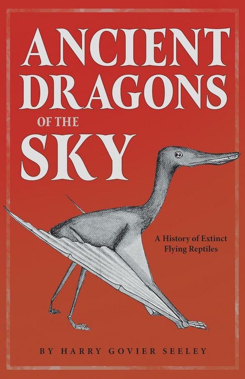 Produktbild: Ancient Dragons of the Sky