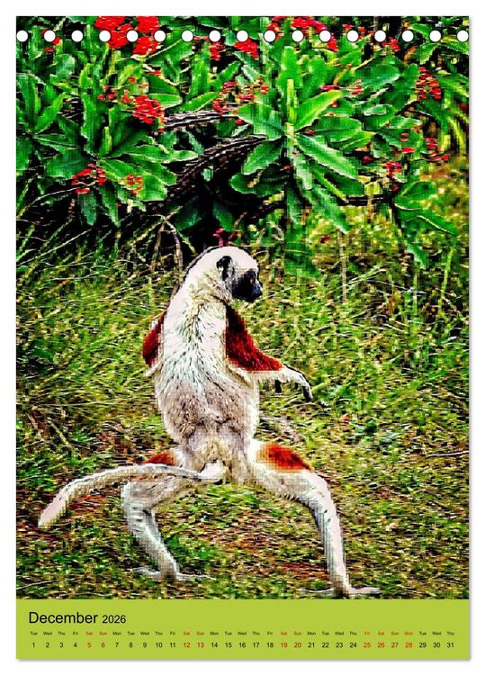 Produktbild: Adorable lemurs (Desk Calendar 2026 DIN A5 portrait), CALVENDO 12 Month DeskCalendar