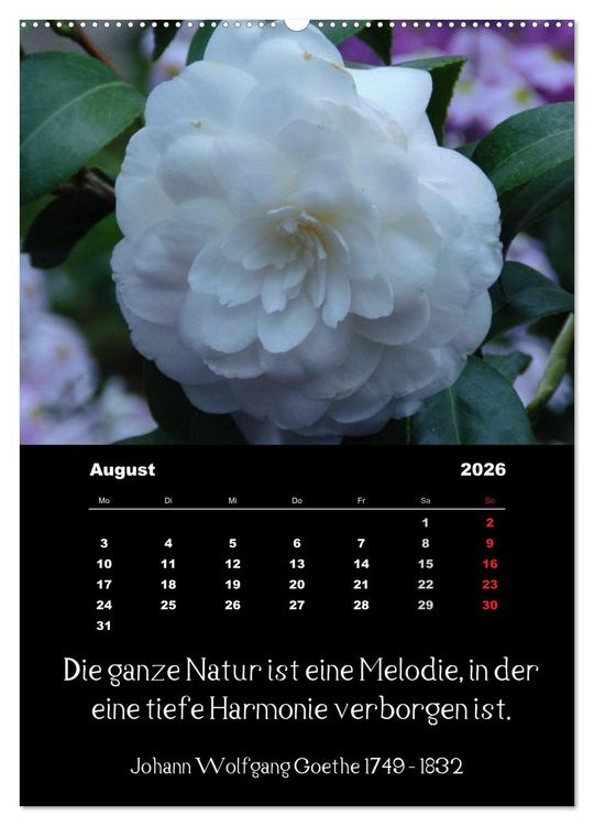 Produktbild: Spr&uuml;che und Zitate ber&uuml;hmter Personen &uuml;ber Blumen und Natur (hochwertiger Premium Wandkalender 2026 DIN A2 hoch), Kunstdruck in Hochglanz