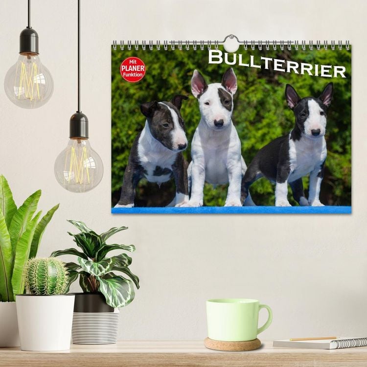 Produktbild: Bullterrier (Wandkalender 2026 DIN A4 quer), CALVENDO Monatskalender