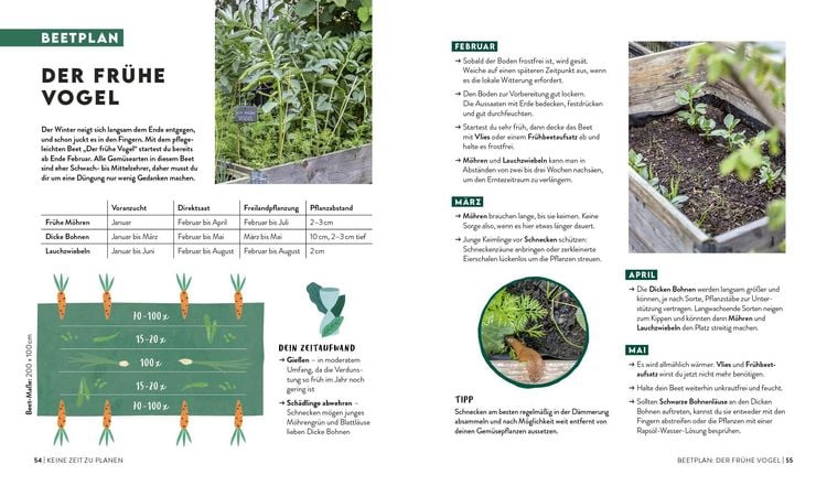 Produktbild: Keine Zeit zu g&auml;rtnern &ndash;&nbsp;Easy Erntegl&uuml;ck mit wenig Aufwand