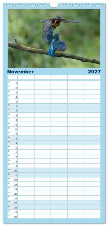 Produktbild: Familienplaner 2027 - Alcedo atthis. Der Eisvogel mit 5 Spalten (Wandkalender, 21 x 45 cm) CALVENDO