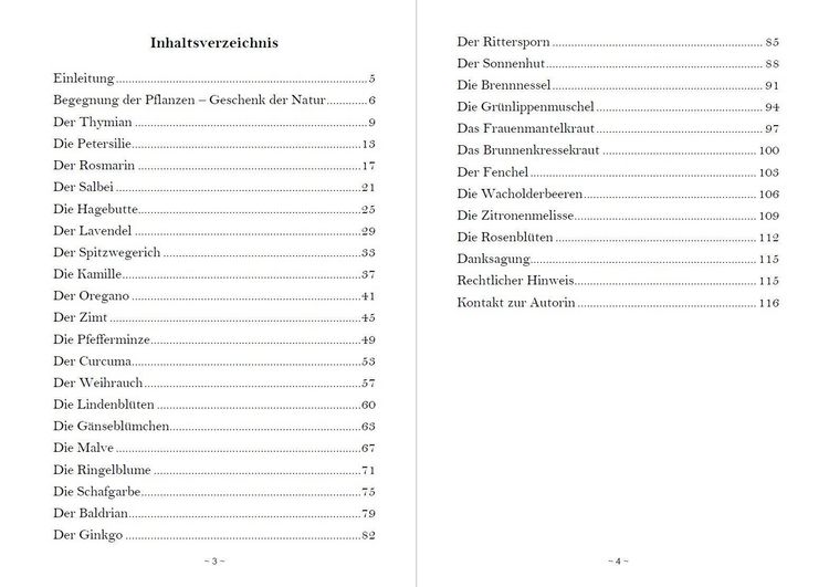 Produktbild: Fantasiereisen zu den Kr&auml;ften der Natur