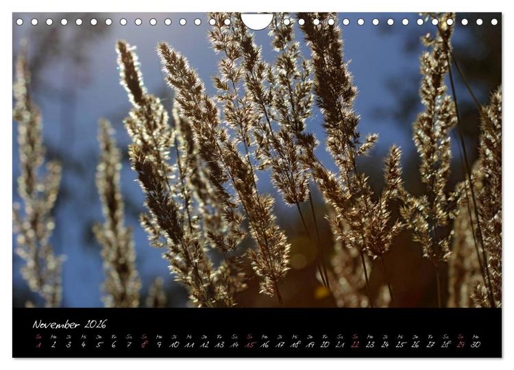 Produktbild: Zeit der Natur - Ein Augenblick zur Ewigkeit (Wandkalender 2026 DIN A4 quer), CALVENDO Monatskalender