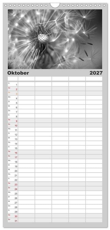 Produktbild: Familienplaner 2027 - Pusteblume - Impressionen in schwarzwei&szlig; mit 5 Spalten (Wandkalender, 21 x 45 cm) CALVENDO
