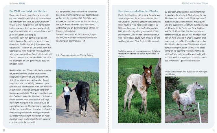 Produktbild: So lernen Pferde