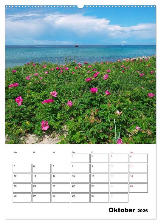 Produktbild: R&uuml;gen und Hiddensee - Bilder eines Sommers / Planer (Wandkalender 2026 DIN A2 hoch), CALVENDO Monatskalender