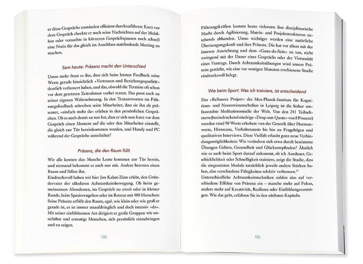 Produktbild: Mindful Leader