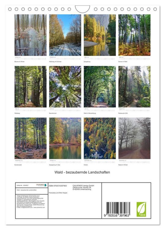 Produktbild: Wald - bezaubernde Landschaften (Wandkalender 2026 DIN A4 hoch), CALVENDO Monatskalender