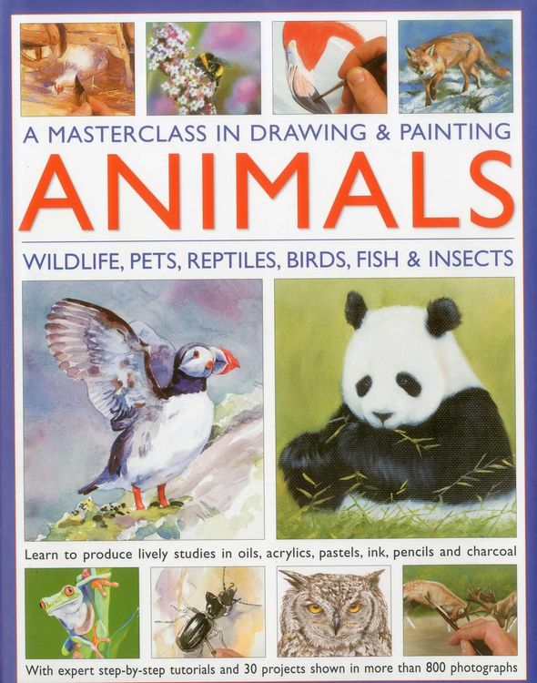 Produktbild: A Masterclass in Drawing & Painting Animals
