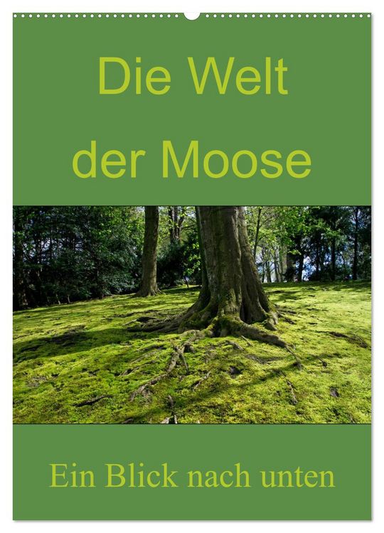 Produktbild: Die Welt der Moose. Ein Blick nach unten (Wandkalender 2026 DIN A2 hoch), CALVENDO Monatskalender