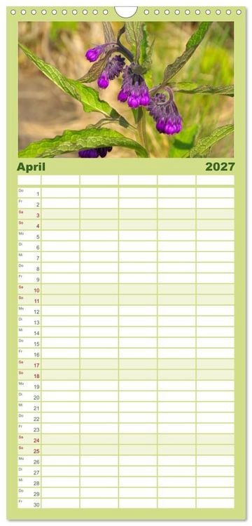 Produktbild: Familienplaner 2027 - Arzneipflanzen mit 5 Spalten (Wandkalender, 21 x 45 cm) CALVENDO