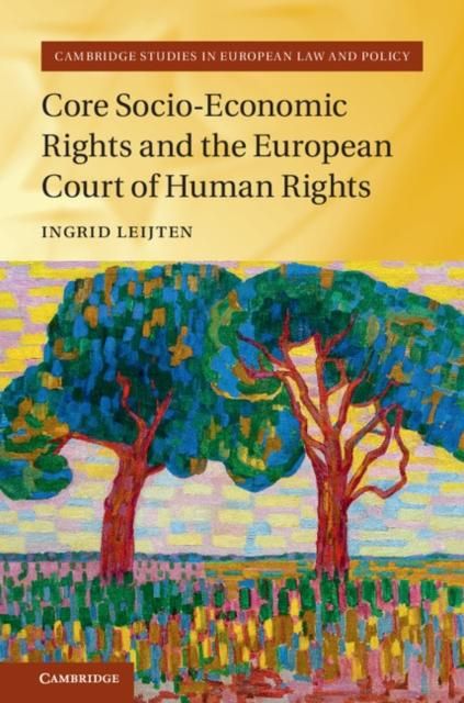 Produktbild: Core Socio-Economic Rights and the European Court of Human Rights