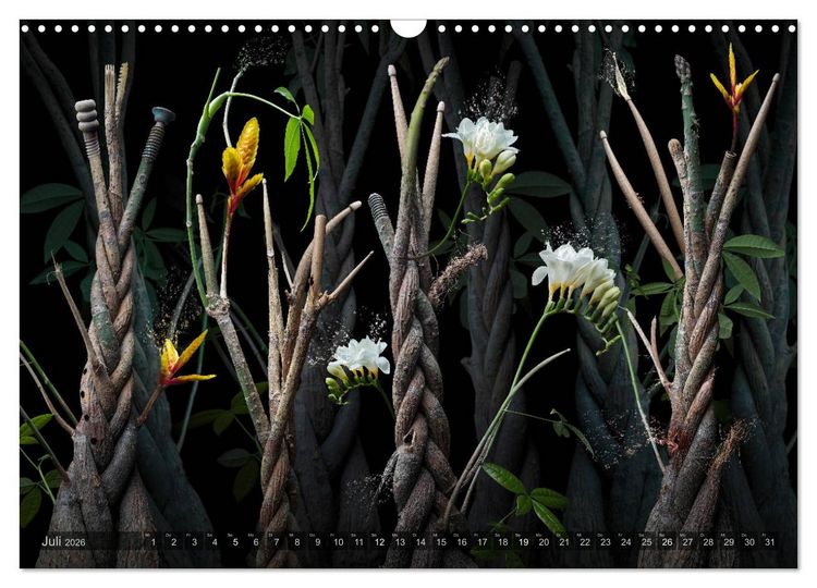 Produktbild: Musica fant&aacute;sia - Die wundersame Welt des Fotok&uuml;nstlers Olaf Bruhn (Wandkalender 2026 DIN A3 quer), CALVENDO Monatskalender