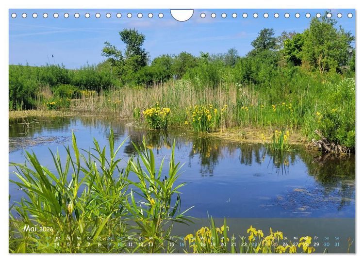 Produktbild: Moortr&auml;ume - Natursch&ouml;nheit in Bildern (Wandkalender 2026 DIN A4 quer), CALVENDO Monatskalender