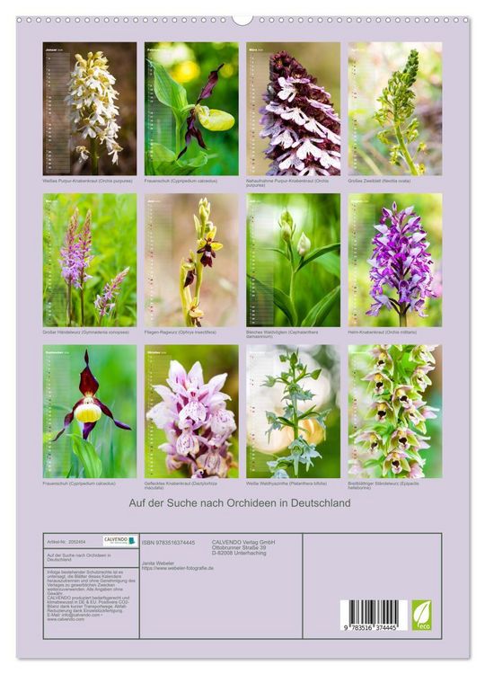 Produktbild: Auf der Suche nach Orchideen in Deutschland (hochwertiger Premium Wandkalender 2026 DIN A2 hoch), Kunstdruck in Hochglanz